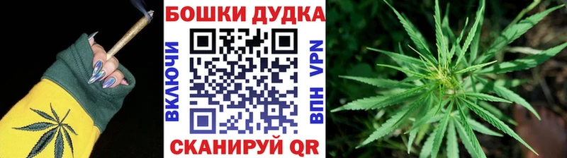 Бошки марихуана конопля Тотьма